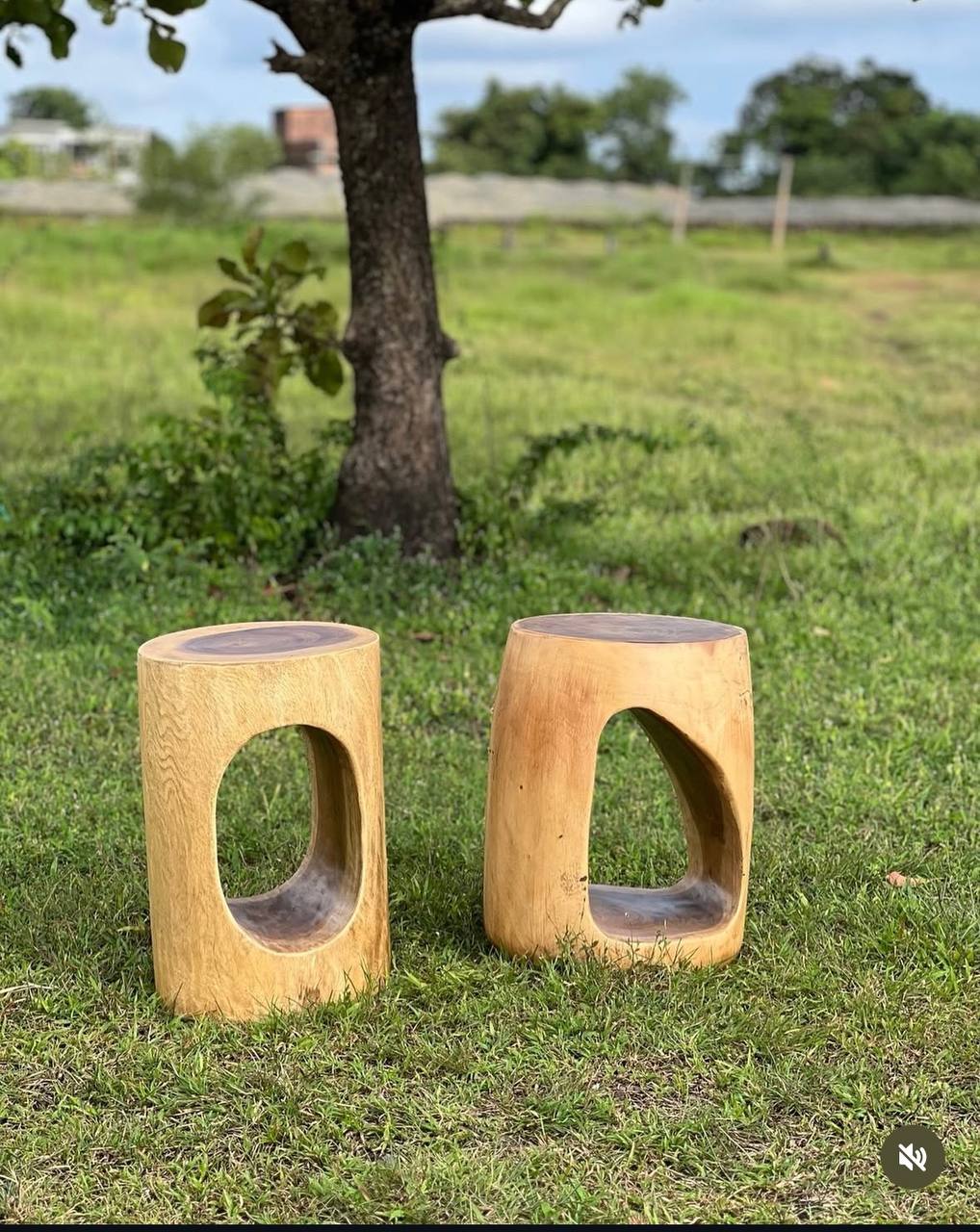 photo 3 2025 12 03 17 44 55